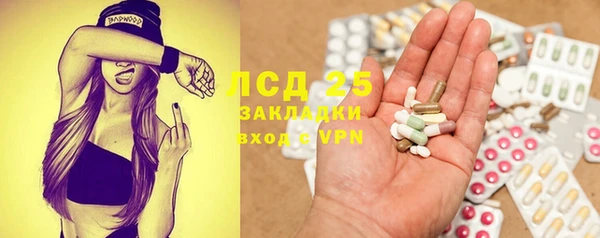 дживик Баксан