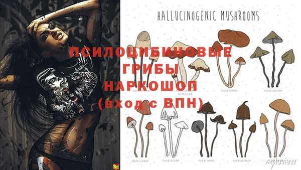 кокаин колумбия Аркадак