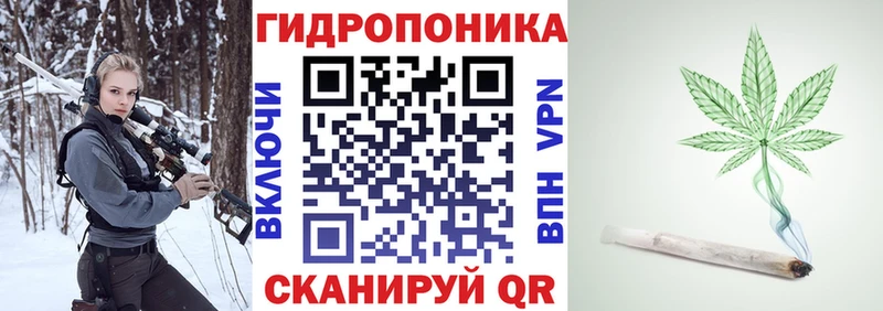 Шишки марихуана сатива  наркошоп  Балей 